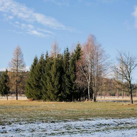 Alicjówka - domek Marciszow Zewnętrze zdjęcie