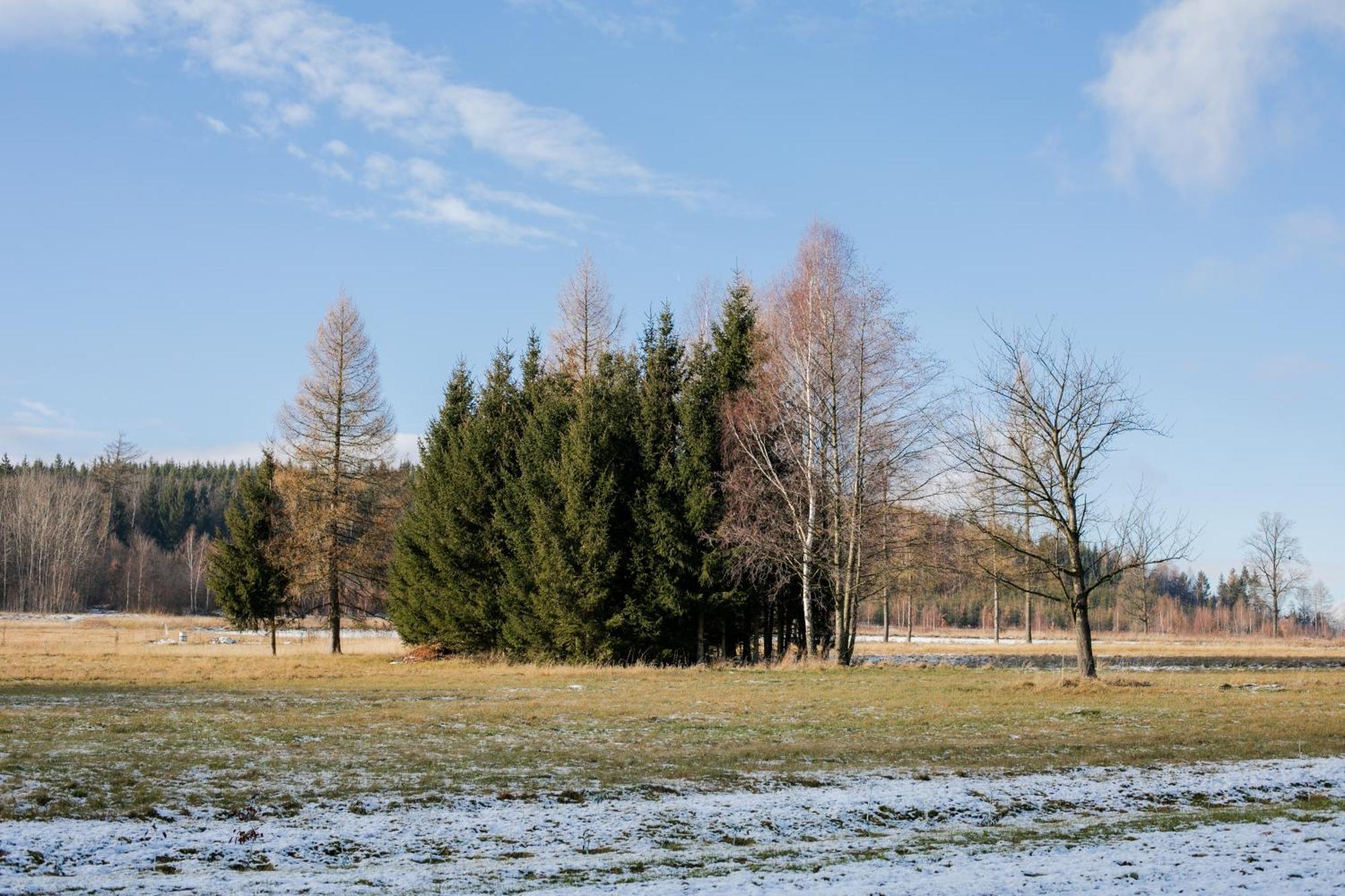 Alicjówka - domek Marciszow Zewnętrze zdjęcie